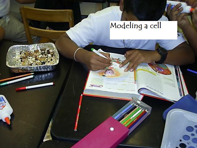 cell1.jpg