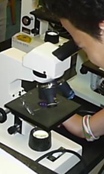 micros6.jpg