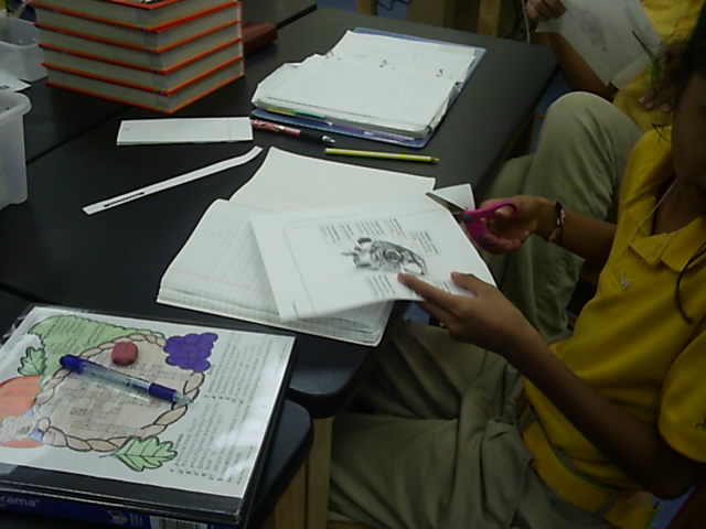 suc50556.jpg