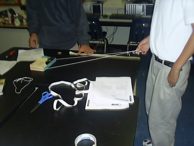 suc50578.jpg