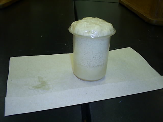 yeast3.jpg