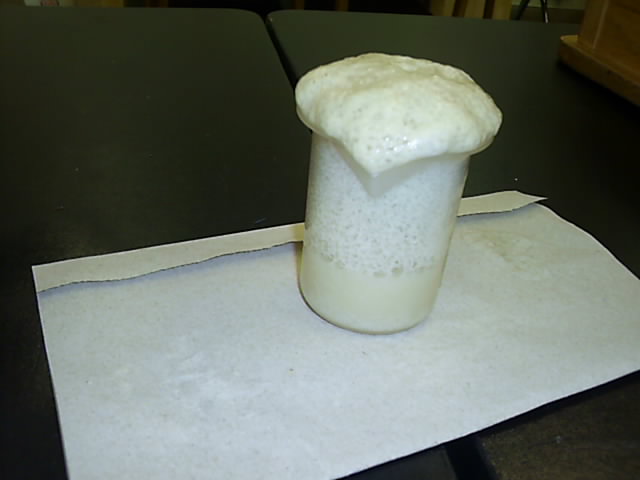 yeast4.jpg