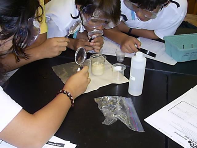 yeast5.jpg